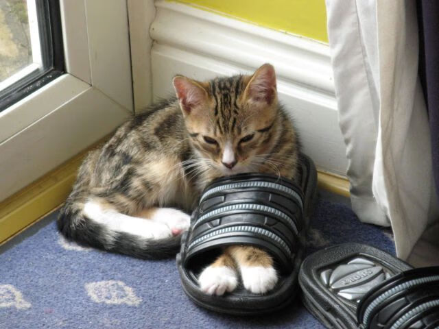 生死0.8秒！独行侠加时绝杀山西，哈利伯顿冷血三分终结悬念，这剧情太燃了！